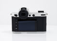 Load image into Gallery viewer, Leica SL2 Mirrorless Camera (Silver) (Limited to 1,000 Pieces Worldwide)